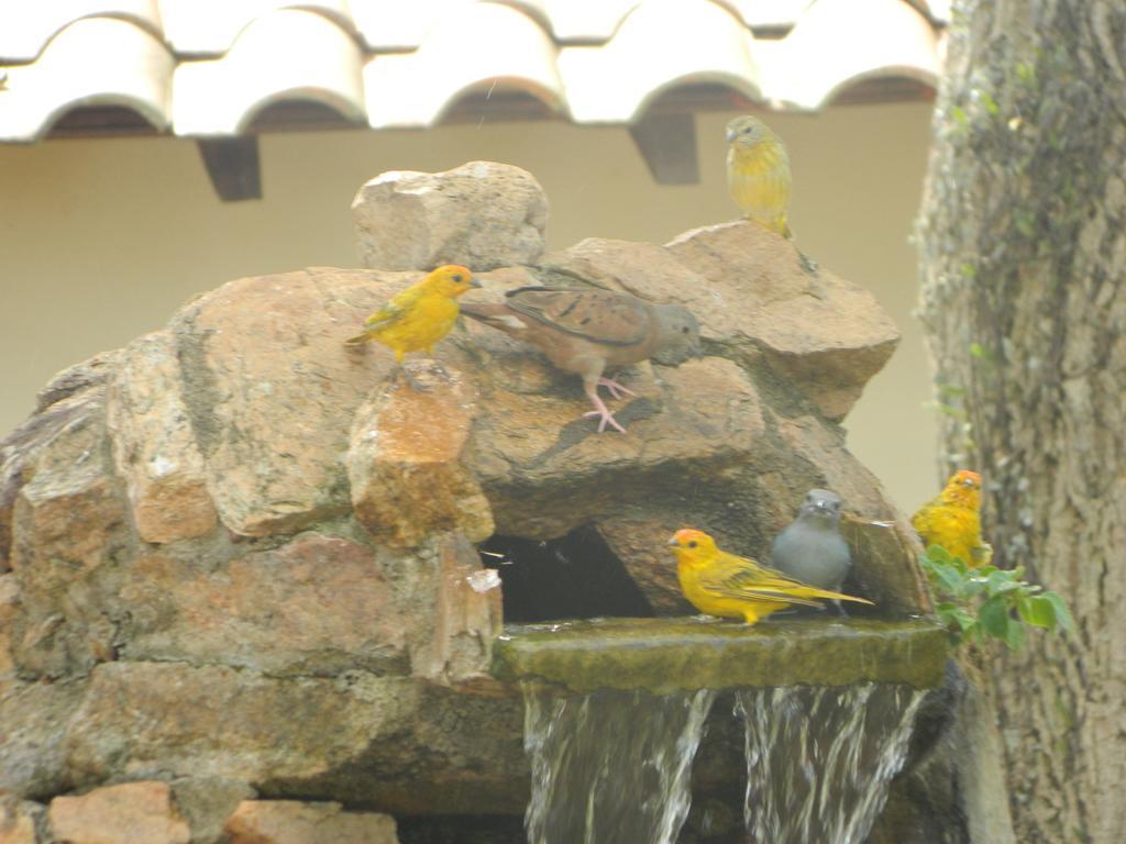 Pousada Nova Estancia Socorro  Zewnętrze zdjęcie